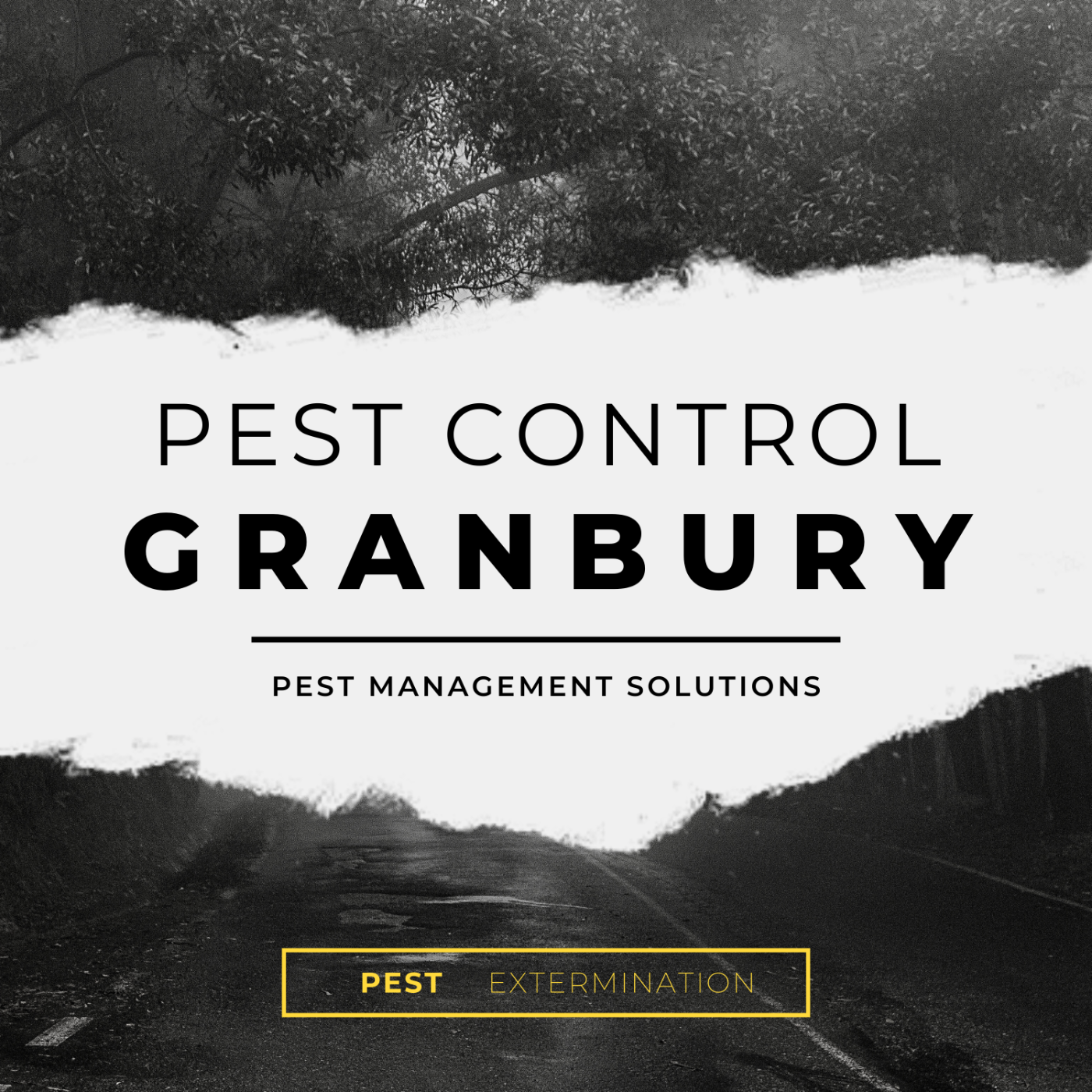 Pest Control Granbury